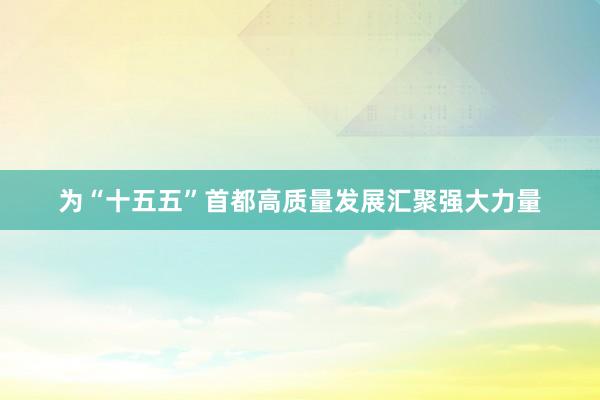 为“十五五”首都高质量发展汇聚强大力量