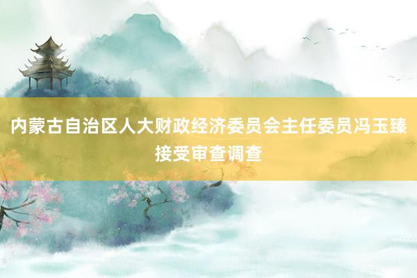 内蒙古自治区人大财政经济委员会主任委员冯玉臻接受审查调查